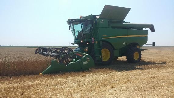 Video: kombajn John Deere S660i u žetvi kod Donjeg Miholjca