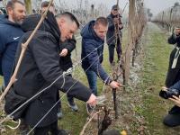 Blagdan Sv. Vinka obilježen u Mandićevcu u vinogradu osječkog Fakulteta agrobiotehničkih znanosti