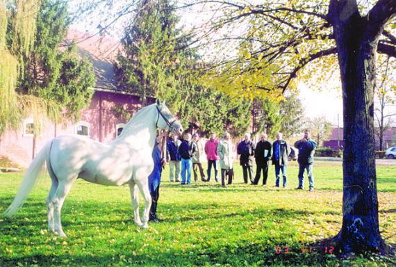 I ovo smo objavili početkom stoljeća
