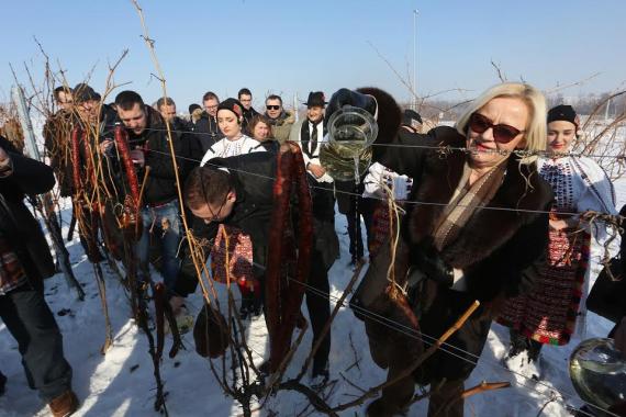 Vina Belje svečano obilježila početak nove vinogradarske godine